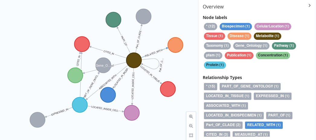 The Schema for the GraphifyHMDB package, shown on Neo4J browser