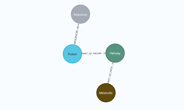 The Schema for the GraphifySMPDB package, shown on Neo4J browser